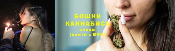 спиды Горно-Алтайск