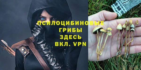 спиды Горно-Алтайск