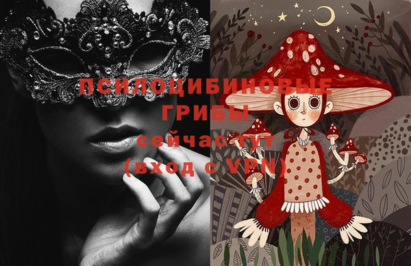 герыч Горняк