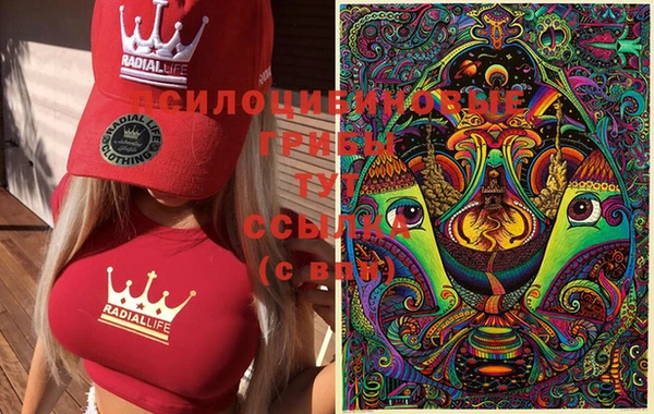 спиды Горно-Алтайск